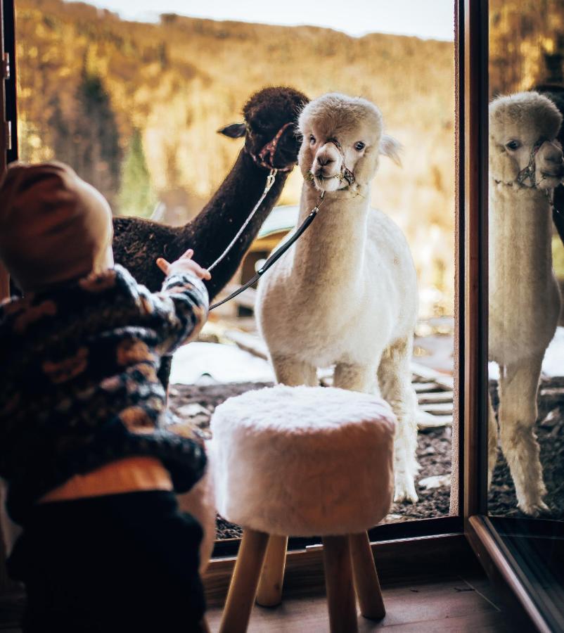 Dychnij Se Villa Szczyrk Dış mekan fotoğraf